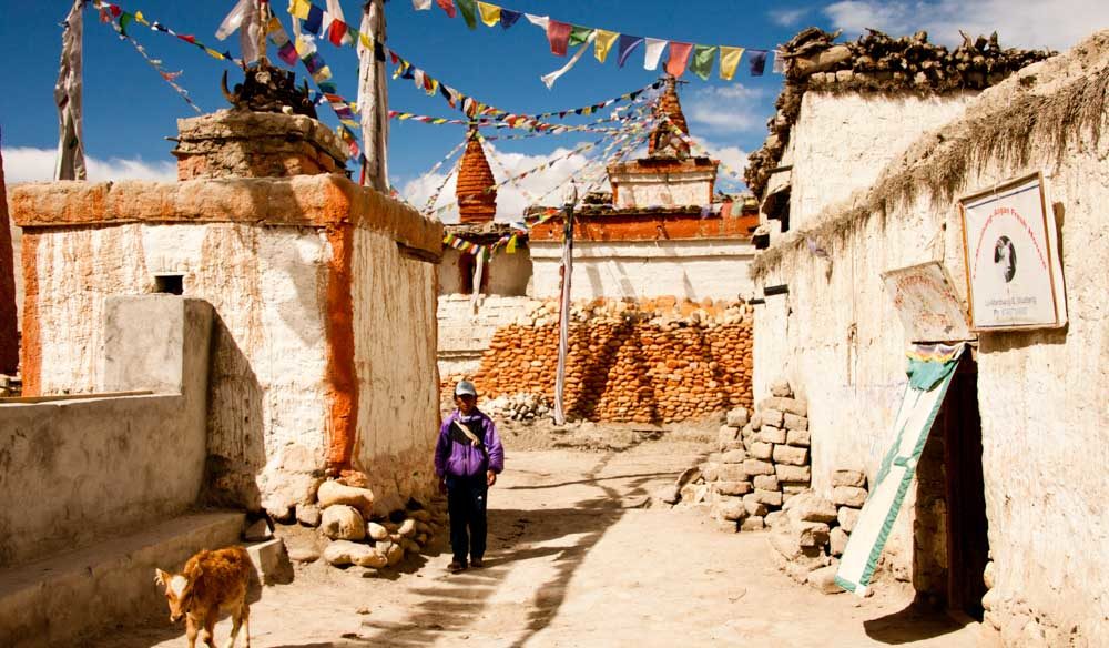 Nepal mustang history