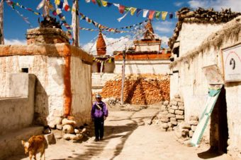 Nepal mustang history